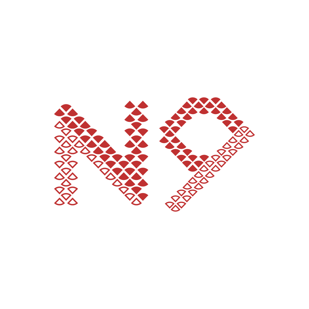 N9 第25类服装鞋帽 注册号88595889商标图样