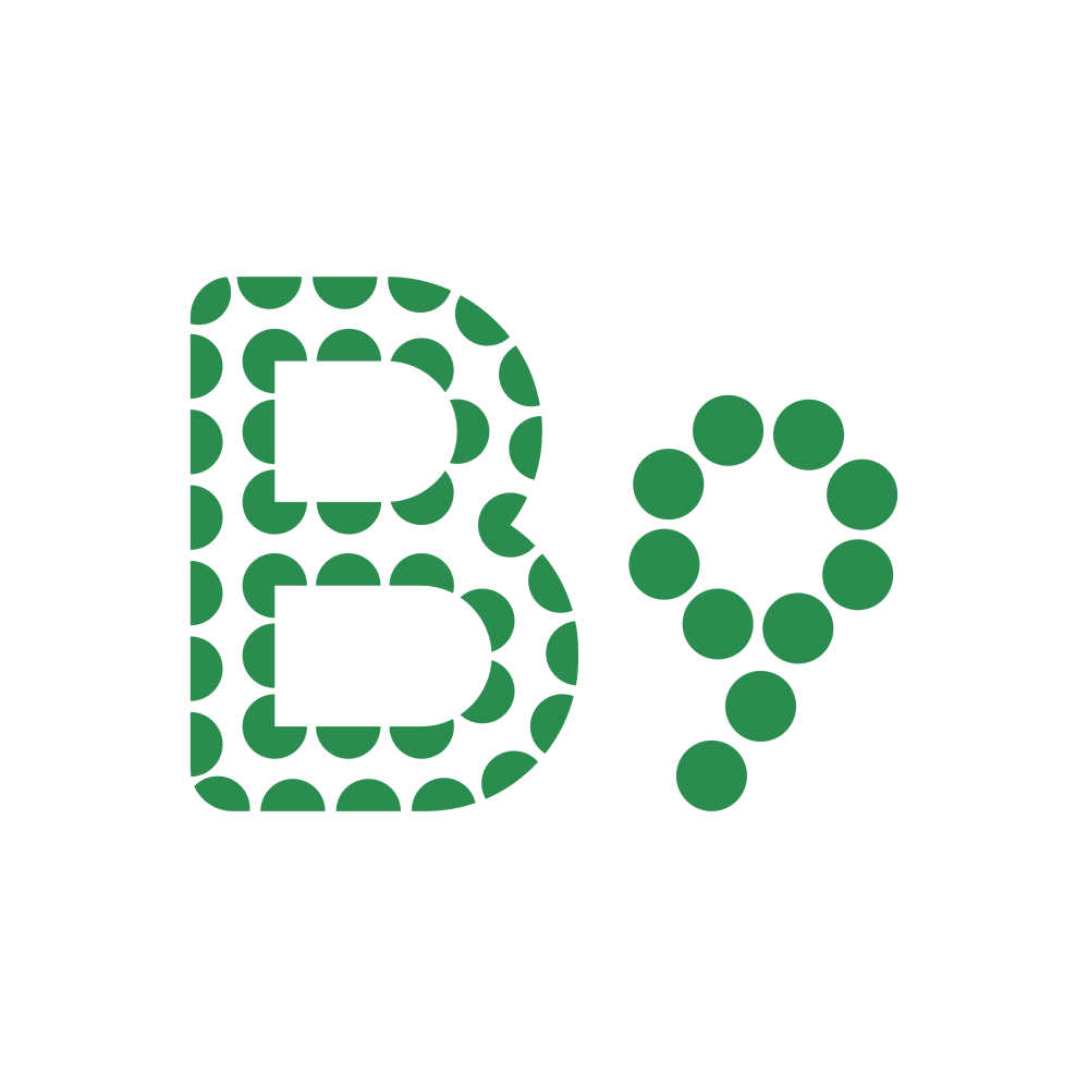 B9 第25类服装鞋帽 注册号88595895商标图样