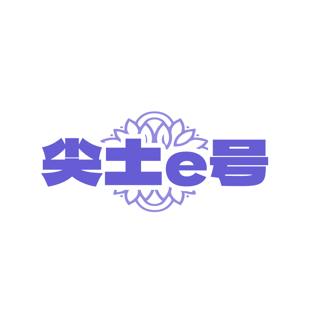 尖土E号 第1类化学原料 注册号88607590商标图样
