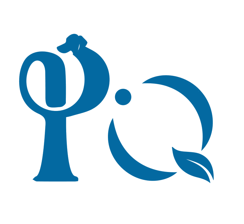 PQ 第25类服装鞋帽 注册号88958384商标图样