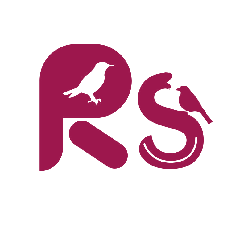 RS 第25类服装鞋帽 注册号88958385商标图样