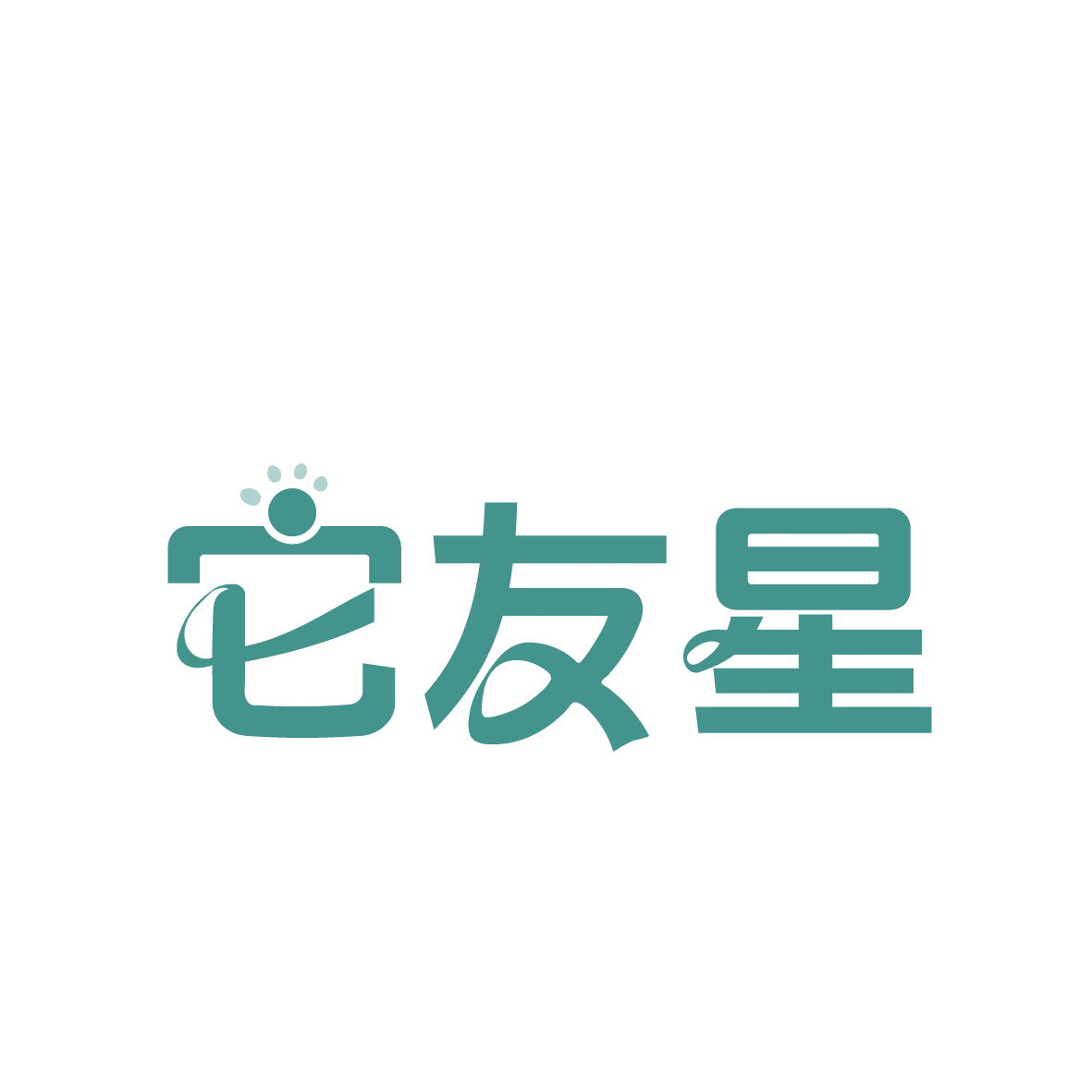 它友星 第3类日化用品 注册号88971705商标图样