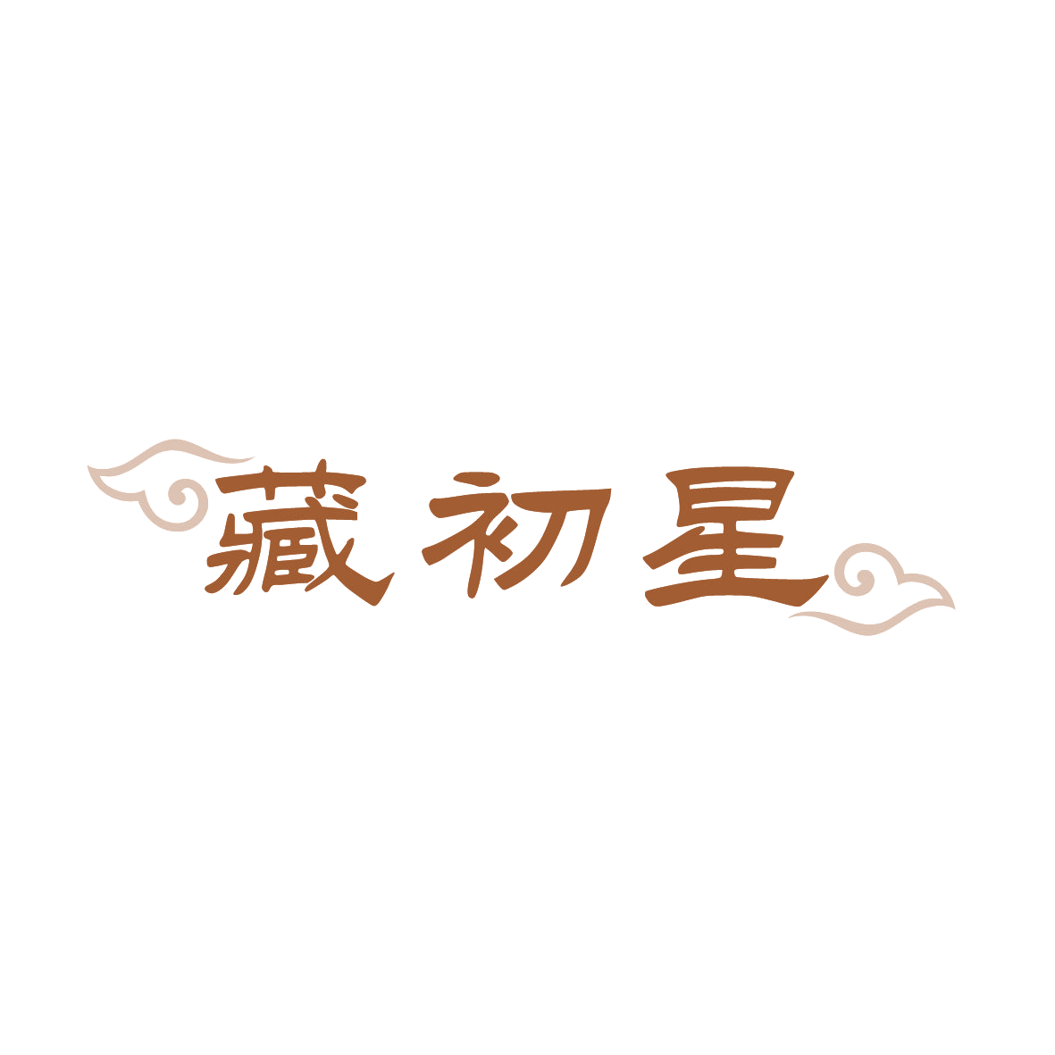 藏初星 第35类广告销售 注册号88998462商标图样