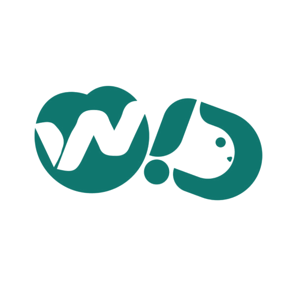 WD 第25类服装鞋帽 注册号89302559商标图样