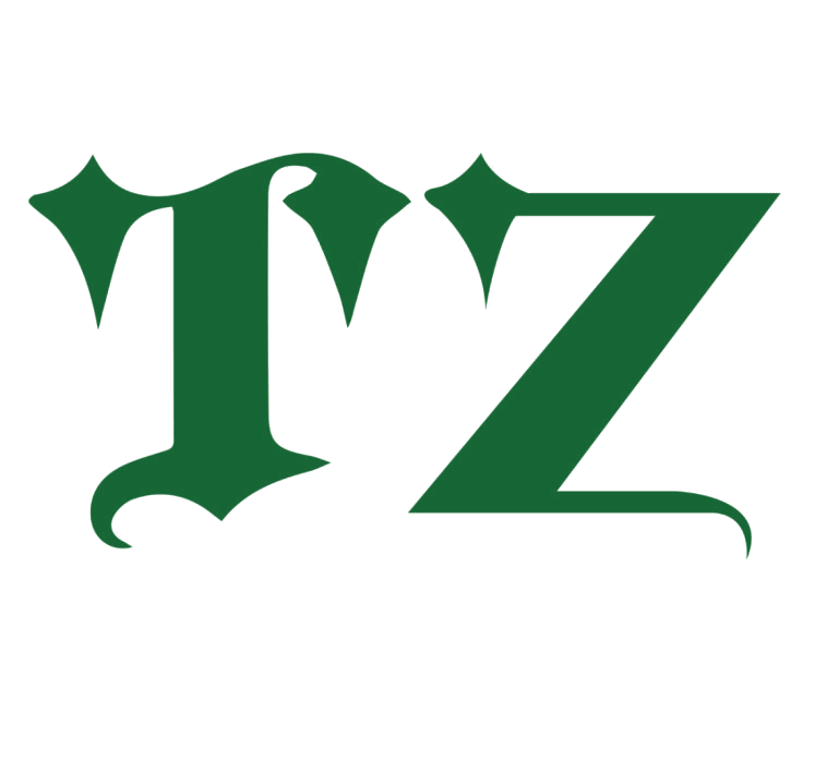 TZ 第25类服装鞋帽 注册号89363062商标图样