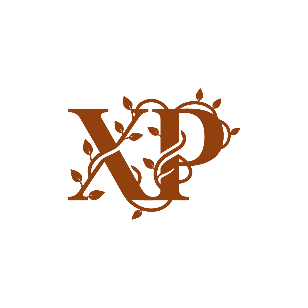 XP 第10类医疗器械 注册号89411902商标图样