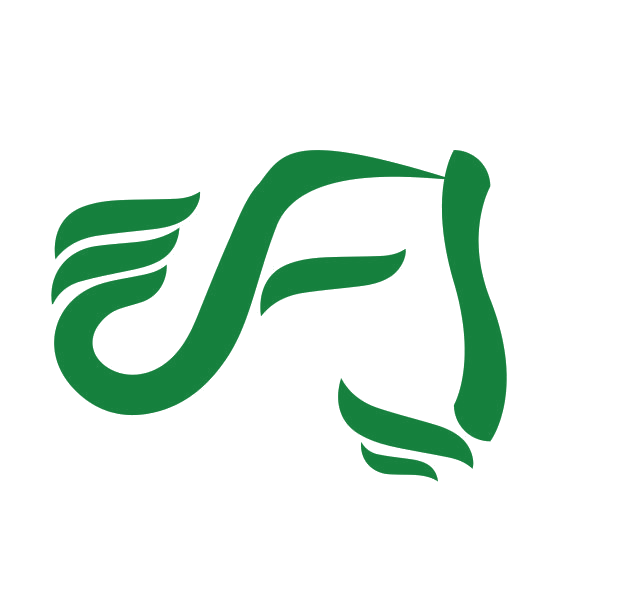 FJ 第25类服装鞋帽 注册号89411985商标图样