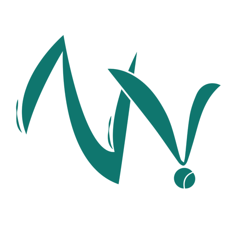 NV 第25类服装鞋帽 注册号89515848商标图样