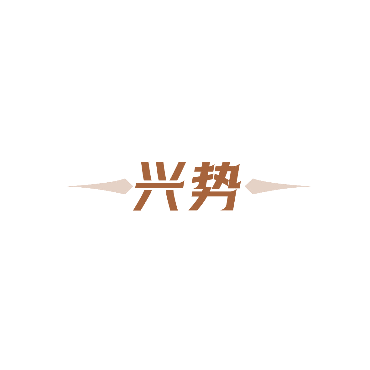 兴势 第9类科学仪器 注册号89577111商标图样