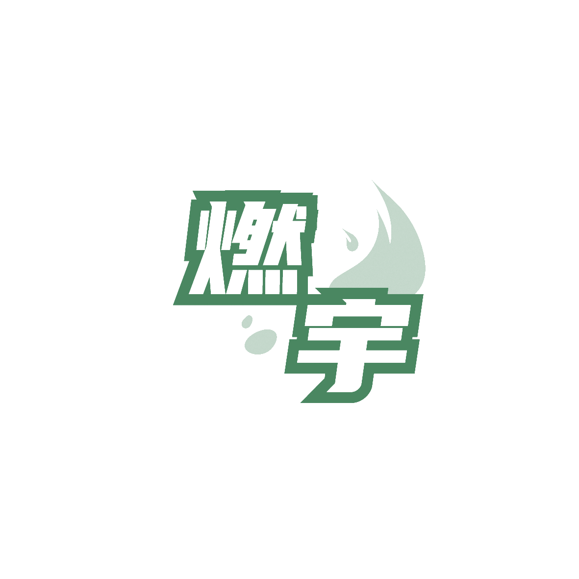 燃宇 第28类健身器材 注册号89588746商标图样