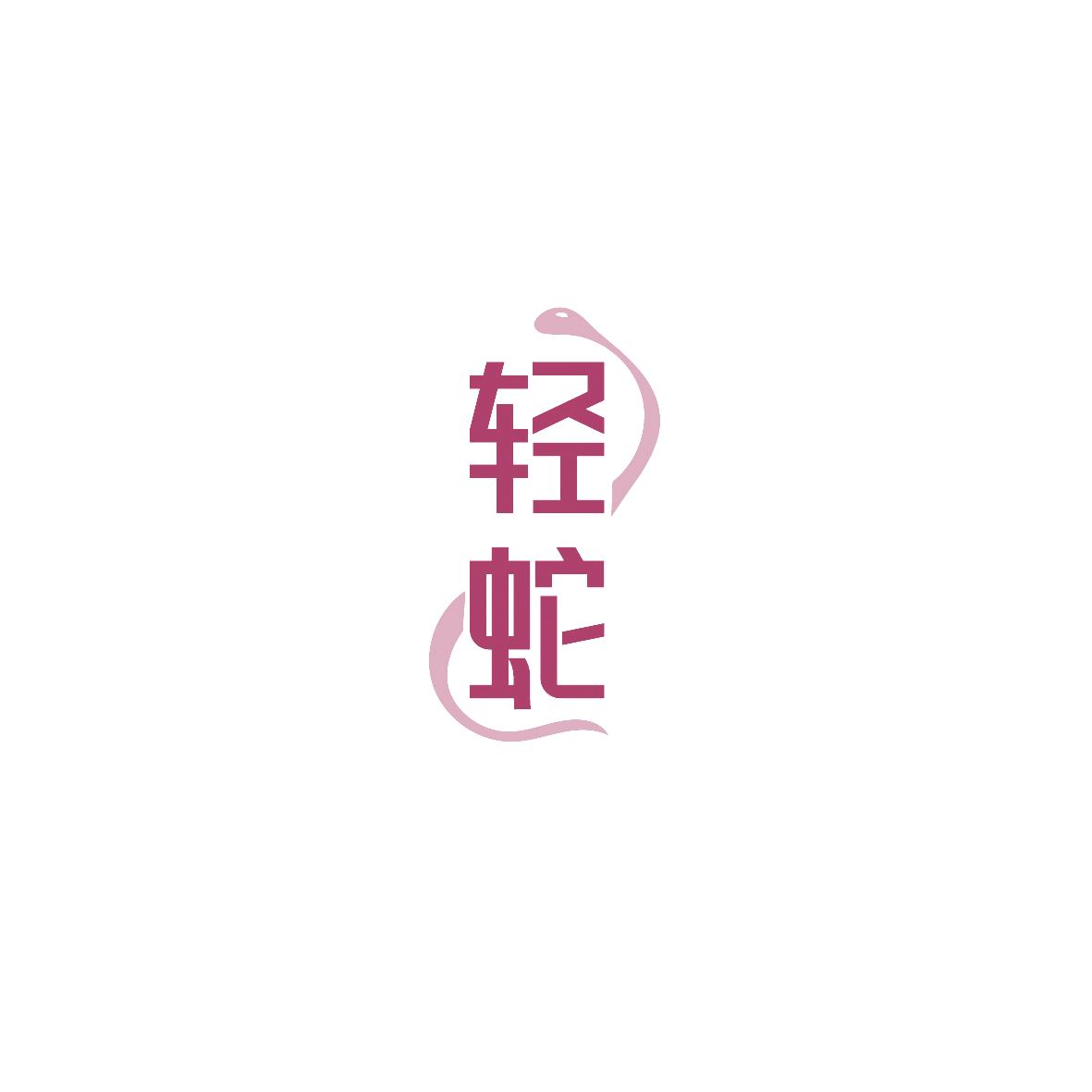 轻蛇 第9类科学仪器 注册号89619605商标图样