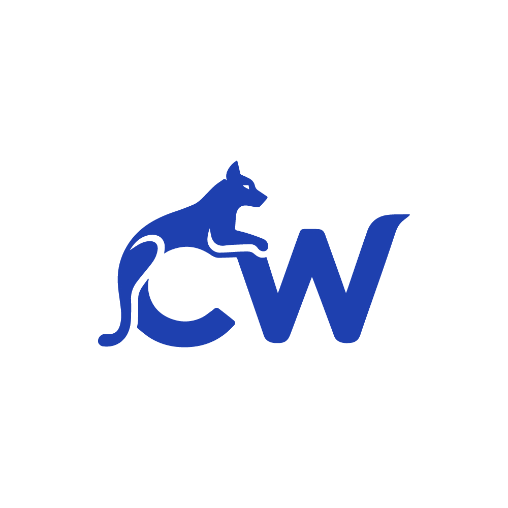 CW 第25类服装鞋帽 注册号89641378商标图样