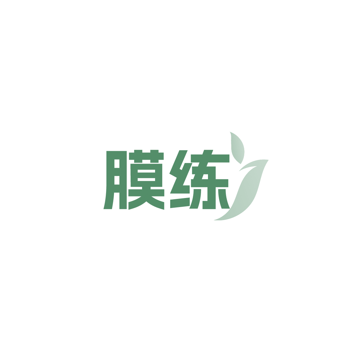 膜练 第12类运输工具 注册号90405322商标图样