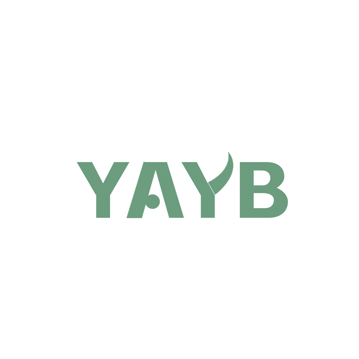 YAYB 第9类科学仪器 注册号91113056商标图样