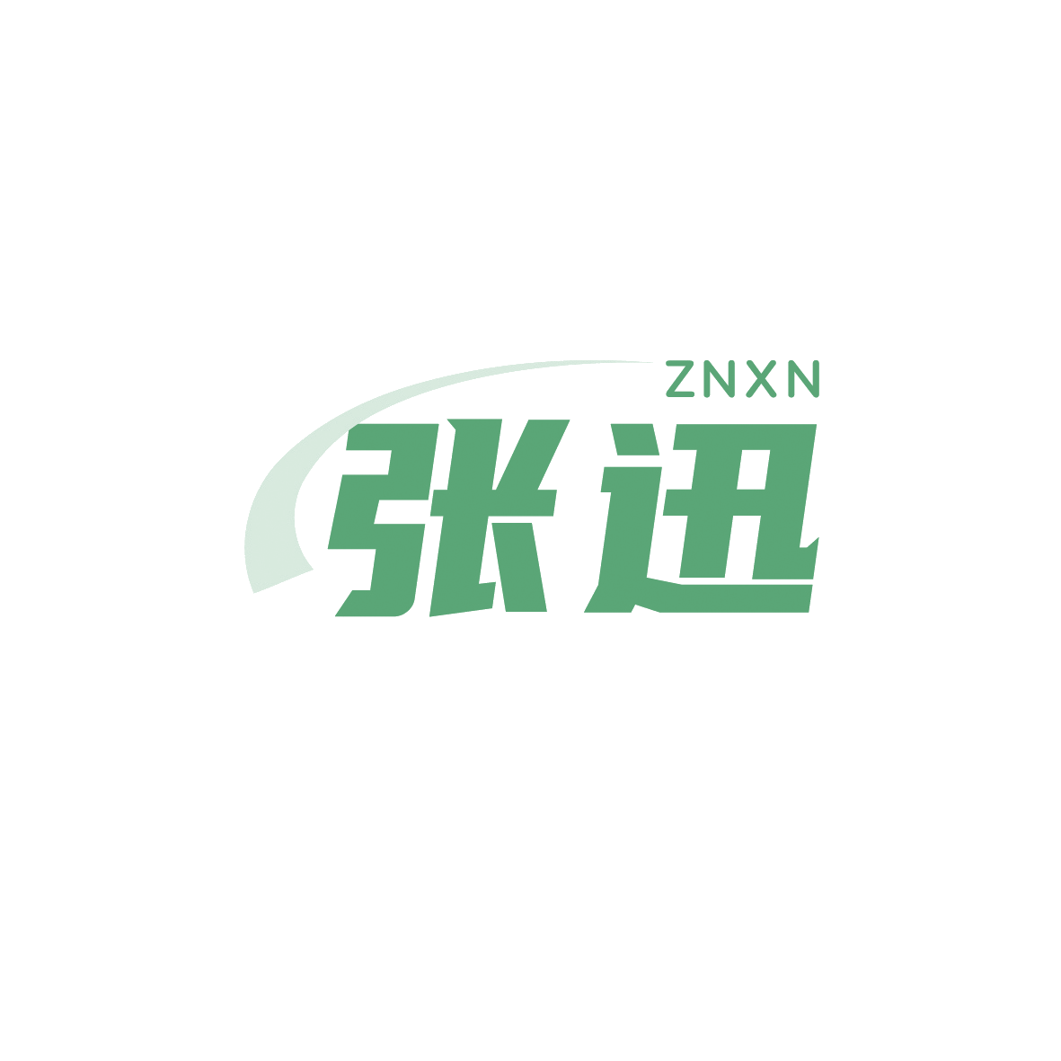 张迅 ZNXN 第12类运输工具 注册号91198873商标图样