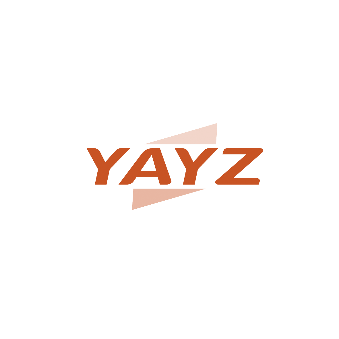 YAYZ 第9类科学仪器 注册号91198895商标图样