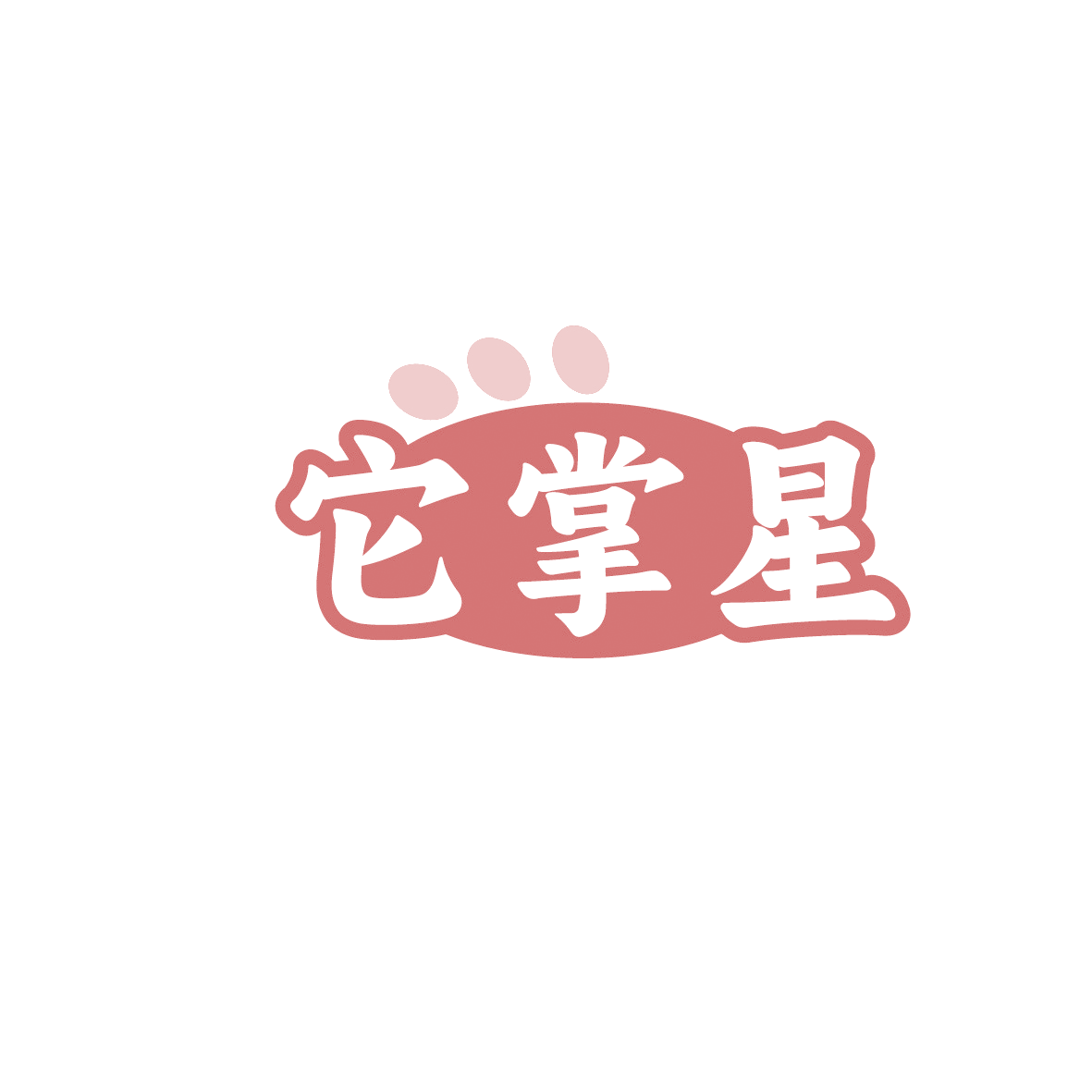 它掌星 第21类厨房洁具 注册号91329753商标图样