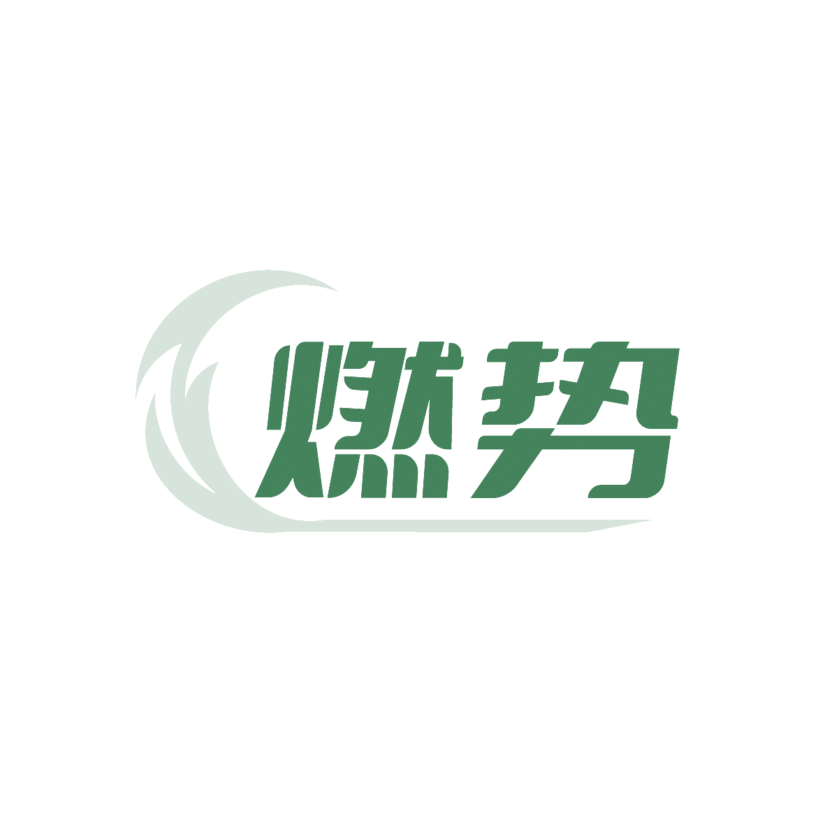 燃势 第41类教育娱乐 注册号91373964商标图样