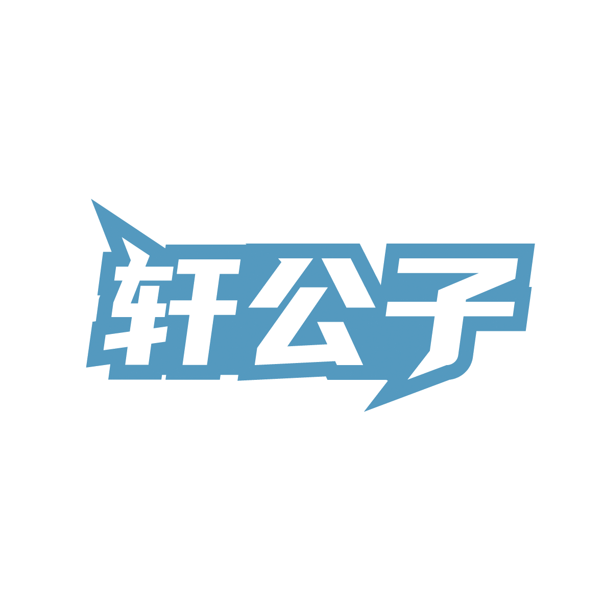 轩公子 第3类日化用品 注册号91455017商标图样