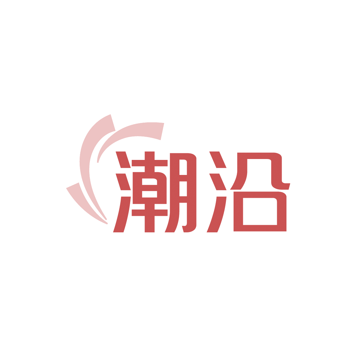 潮沿 第18类皮革皮具 注册号91621851商标图样