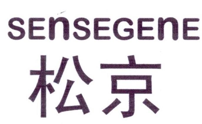 松京SENSEGENE 第19类建筑材料 注册号23168377商标图样
