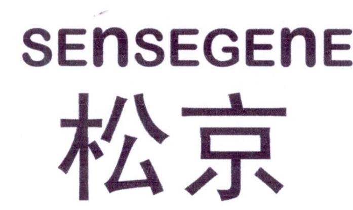 松京SENSEGENE 第21类厨房洁具 注册号23168378商标图样